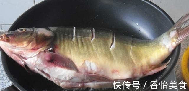 三道鳞鱼，美味与健康的完美结合—做法大全三道鳞鱼怎么做好吃视频