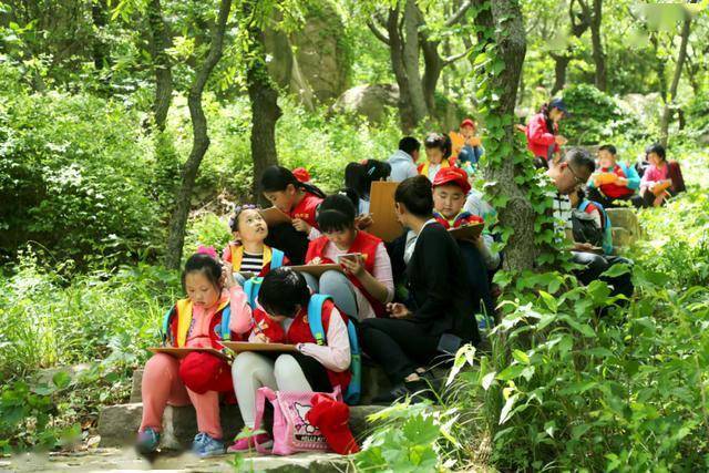 探索双色球39期开奖号的奇妙之旅双色球最近开奖号39期开奖结果