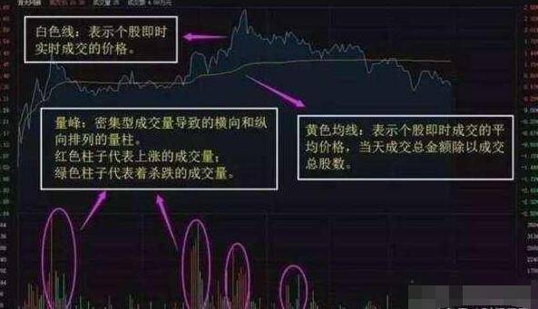 2025年5月 第10页