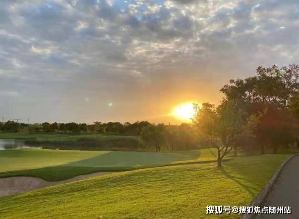探索大乐透的奥秘，前后区分布走势图解析大乐透前后区分布走势图一百期