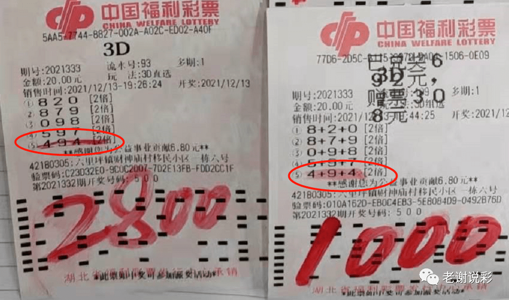 探索中国福利彩票开奖的奥秘与影响中国福利彩票查询中奖号码今天