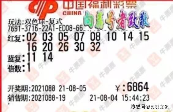 3D字谜与双色球，揭秘开奖背后的智慧今日3d字谜双色球开奖结果