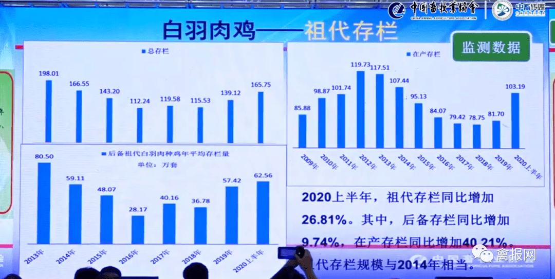 澳门六叔最新现状，网络视频的深度剖析与观看指南澳门六叔最近的视频