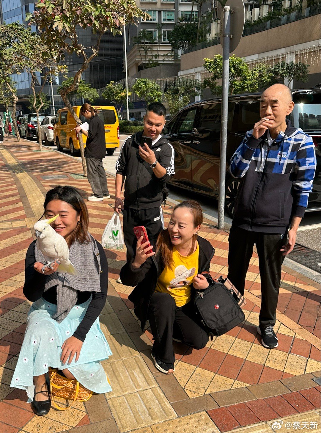 澳门六叔最新动态，揭秘其现状与风采（图片大全下载指南）澳门六叔最新现状怎么样啊图片大全下载