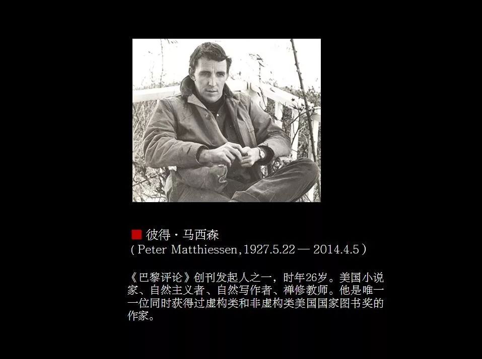 揭秘澳门六叔，真实身份与高清大图视频的背后故事（虚构文章）澳门六叔最近的视频
